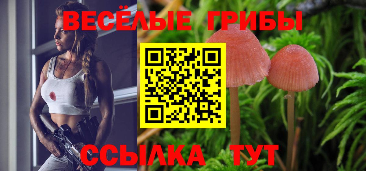 Псилоцибиновые грибы GOLDEN TEACHER Тольятти